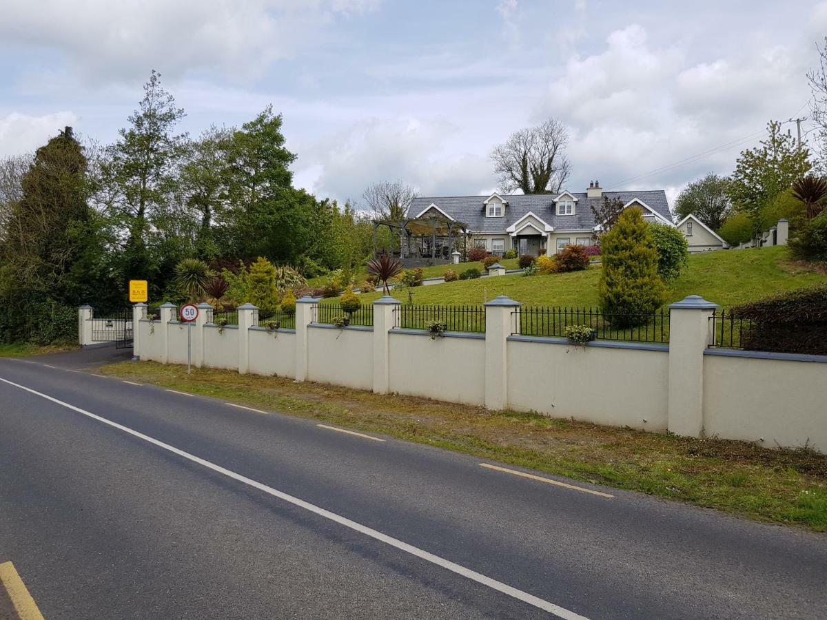 Highfield House Bed And Breakfast Collinstown Collinstown  Exterior photo
